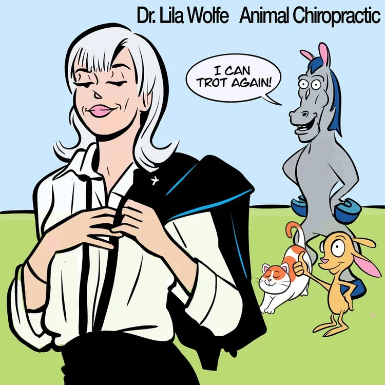 Cartoon woman with silver hair and a confident expression, holding a black blazer over her shoulder, with a background of cartoon animals including a horse, rabbit, and cat, and text showing 'Dr. Lila Wolfe Animal Chiropractic' and a speech bubble saying 'I CAN TROT AGAIN!'
